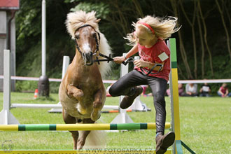 Podzámecká výstava