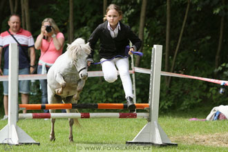 Podzámecká výstava
