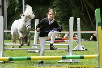 Podzámecká výstava