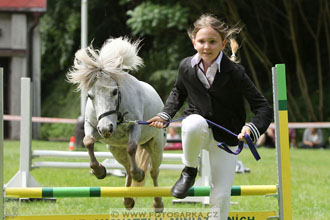 Podzámecká výstava