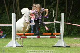 Podzámecká výstava