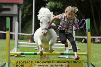 Podzámecká výstava