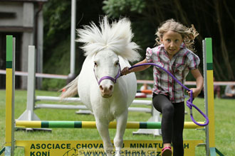 Podzámecká výstava