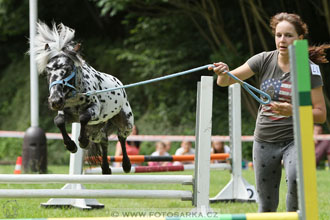 Podzámecká výstava