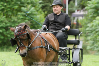 Podzámecká výstava