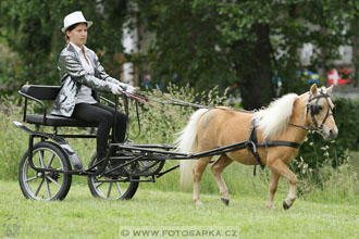 Podzámecká výstava