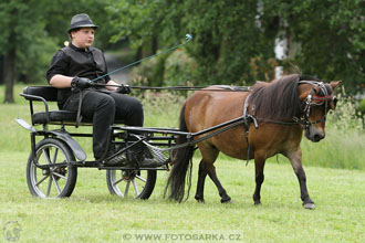 Podzámecká výstava