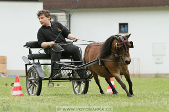 Podzámecká výstava