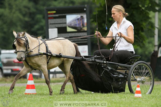 Podzámecká výstava