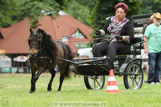 Podzámecká výstava