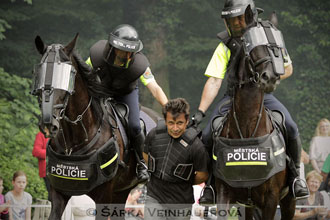 Policejní koně