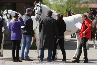 Rudolfův pohár 2016 - 1.den