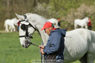 Rudolfův pohár 2016 - 1.den