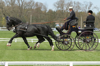 Rudolfův pohár 2016 - 3.den