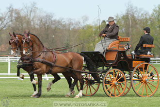 Rudolfův pohár 2016 - 3.den