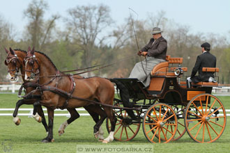 Rudolfův pohár 2016 - 3.den