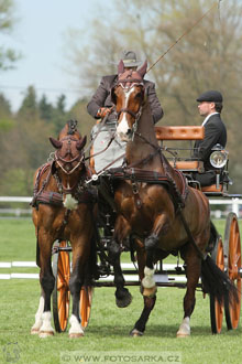 Rudolfův pohár 2016 - 3.den