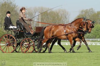 Rudolfův pohár 2016 - 3.den