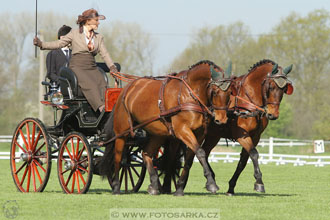 Rudolfův pohár 2016 - 3.den