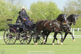 Rudolfův pohár 2016 - 3.den