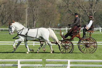 Rudolfův pohár 2016 - 3.den