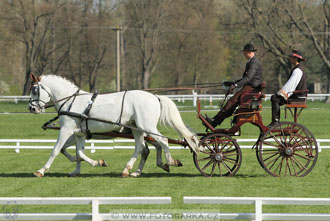 Rudolfův pohár 2016 - 3.den