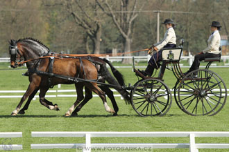 Rudolfův pohár 2016 - 3.den