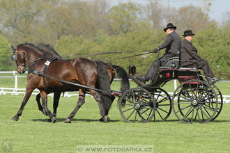 Rudolfův pohár 2016 - 3.den