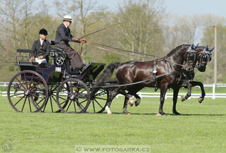 Rudolfův pohár 2016 - 3.den