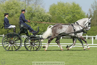 Rudolfův pohár 2016 - 3.den