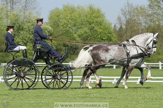 Rudolfův pohár 2016 - 3.den