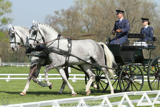 Rudolfův pohár 2016 - 3.den