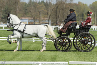 Rudolfův pohár 2016 - 3.den