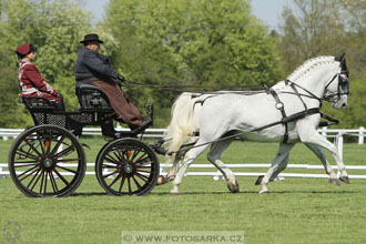 Rudolfův pohár 2016 - 3.den