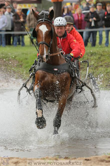Rudolfův pohár 2016 - 4.den