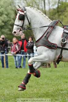 Rudolfův pohár 2016 - 4.den