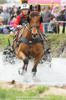 Rudolfův pohár 2016 - 4.den
