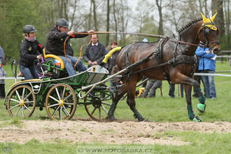 Rudolfův pohár 2016 - 4.den
