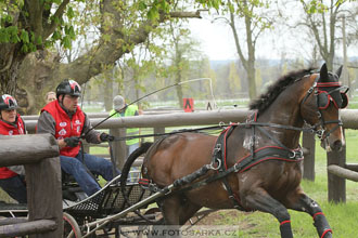 Rudolfův pohár 2016 - 4.den