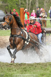 Rudolfův pohár 2016 - 4.den