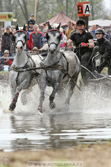 Rudolfův pohár 2016 - 4.den