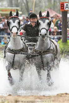 Rudolfův pohár 2016 - 4.den