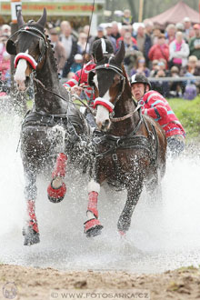 Rudolfův pohár 2016 - 4.den