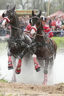 Rudolfův pohár 2016 - 4.den