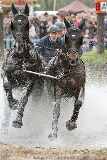 Rudolfův pohár 2016 - 4.den