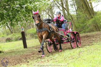 Rudolfův pohár 2017 - marathon sobota