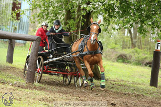 Rudolfův pohár 2017 - marathon sobota