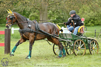 Rudolfův pohár 2017 - marathon sobota