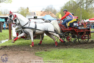 Rudolfův pohár 2017 - marathon sobota