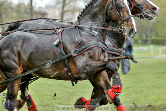 Rudolfův pohár 2017 - marathon sobota